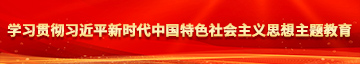 牛逼叉电影网学习贯彻习近平新时代中国特色社会主义思想主题教育